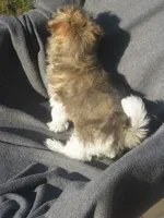 processed/fd2bc8f7-328e-4e05-9fe9-03b6bcc83078/listing/054f9a64-755f-49de-9908-d38c29c8417f/99862eea-9968-4c51-8f6a-39c432242251