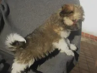 processed/fd2bc8f7-328e-4e05-9fe9-03b6bcc83078/listing/054f9a64-755f-49de-9908-d38c29c8417f/d0637045-db7d-4b62-851f-6b179b373312