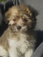 processed/fd2bc8f7-328e-4e05-9fe9-03b6bcc83078/listing/054f9a64-755f-49de-9908-d38c29c8417f/d8c8e234-47ea-4f19-ac35-e333bc392e9a