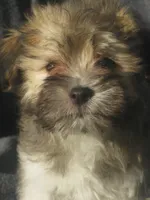 processed/fd2bc8f7-328e-4e05-9fe9-03b6bcc83078/listing/054f9a64-755f-49de-9908-d38c29c8417f/e80a8647-ce11-4714-97cc-842094e4a165