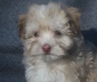 processed/fd2bc8f7-328e-4e05-9fe9-03b6bcc83078/listing/c3026d01-f748-408a-9a96-48de0cf23c5e/2dfa1042-9f19-4e5a-9014-7c9f71e0beb8