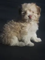 processed/fd2bc8f7-328e-4e05-9fe9-03b6bcc83078/listing/c3026d01-f748-408a-9a96-48de0cf23c5e/325e2f2e-78d6-468a-b768-f31d918c5947