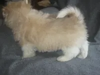 processed/fd2bc8f7-328e-4e05-9fe9-03b6bcc83078/listing/c3026d01-f748-408a-9a96-48de0cf23c5e/7801eac6-7553-48b3-9a6b-6c251dbb9cb7