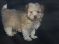 processed/fd2bc8f7-328e-4e05-9fe9-03b6bcc83078/listing/c3026d01-f748-408a-9a96-48de0cf23c5e/99c19a0b-f24f-49dd-870e-70bc8c189497