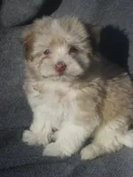 processed/fd2bc8f7-328e-4e05-9fe9-03b6bcc83078/listing/c3026d01-f748-408a-9a96-48de0cf23c5e/b610350b-42c0-44ce-8a3d-2c19c9c161b0