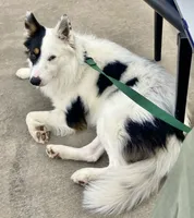 processed/fd34c359-d29c-41cb-b799-e324f64f73f4/listing/baca2c0b-d945-42b2-8e67-6a0212e719e2/1ce09680-b770-4cbd-b871-7661b73841de