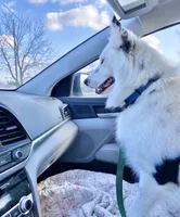 processed/fd34c359-d29c-41cb-b799-e324f64f73f4/listing/baca2c0b-d945-42b2-8e67-6a0212e719e2/22da4f6e-f64a-4a7c-80b0-1b71e781341c