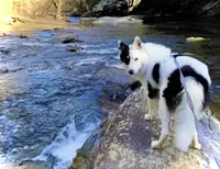 processed/fd34c359-d29c-41cb-b799-e324f64f73f4/listing/baca2c0b-d945-42b2-8e67-6a0212e719e2/240e87ca-7296-4479-bb77-17892fec3fa3