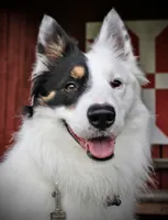 processed/fd34c359-d29c-41cb-b799-e324f64f73f4/listing/baca2c0b-d945-42b2-8e67-6a0212e719e2/3ac7ecf5-2b4b-413d-8571-d42928c72d07