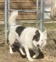 processed/fd34c359-d29c-41cb-b799-e324f64f73f4/listing/baca2c0b-d945-42b2-8e67-6a0212e719e2/52a7eedb-3a70-4dcf-a06a-b6cf8b246f52