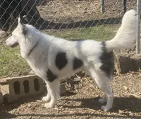 processed/fd34c359-d29c-41cb-b799-e324f64f73f4/listing/baca2c0b-d945-42b2-8e67-6a0212e719e2/52ae258e-e99a-405d-860d-fcf47b033d03