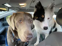 processed/fd34c359-d29c-41cb-b799-e324f64f73f4/listing/baca2c0b-d945-42b2-8e67-6a0212e719e2/7a59a28b-d527-44bb-9308-cca6314c12bc