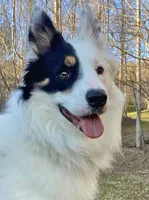 processed/fd34c359-d29c-41cb-b799-e324f64f73f4/listing/baca2c0b-d945-42b2-8e67-6a0212e719e2/a0cf8e0d-d3e0-4283-924d-c52b97b1f458