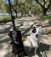 processed/fd34c359-d29c-41cb-b799-e324f64f73f4/listing/baca2c0b-d945-42b2-8e67-6a0212e719e2/a58202c4-e1de-4391-b3ef-00c8db8893f5