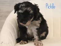 processed/fd3d9b70-a232-4a69-a014-df0354c2f404/listing/a866dc78-be3e-4f42-bb40-7052d85e2284/d47c5bde-e36a-40ca-bc69-282e4b6bf176