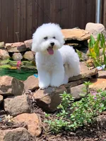 processed/fd404522-526f-422e-a1fa-cd6b6dbdab9e/facility/a16c3405-f768-40c1-a9ab-90777ce798eb