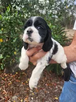 processed/fd436e6a-6b65-4207-b00c-3d95f7bf5faa/listing/488bb1a1-975c-4cb4-b9c3-26429fff360d/00b7f62e-b231-46b4-9b0b-ee611fde488f