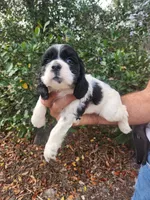 processed/fd436e6a-6b65-4207-b00c-3d95f7bf5faa/listing/488bb1a1-975c-4cb4-b9c3-26429fff360d/2ce5b907-c8d3-4067-a727-81cd89d7928f