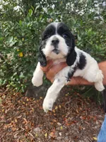 processed/fd436e6a-6b65-4207-b00c-3d95f7bf5faa/listing/488bb1a1-975c-4cb4-b9c3-26429fff360d/629832d5-e4f1-44e6-abc5-a270b89e944d