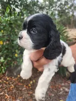 processed/fd436e6a-6b65-4207-b00c-3d95f7bf5faa/listing/488bb1a1-975c-4cb4-b9c3-26429fff360d/81e7d2e1-0579-4ba6-b34f-d3d851da8da8