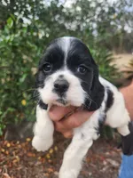 processed/fd436e6a-6b65-4207-b00c-3d95f7bf5faa/listing/488bb1a1-975c-4cb4-b9c3-26429fff360d/b6c20082-8988-4366-9c89-ef9d49f393e7