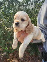 processed/fd436e6a-6b65-4207-b00c-3d95f7bf5faa/listing/55c5870a-e7c7-4aaf-aa90-9ee80f9331a6/6f1191b4-b91c-4497-9ed7-b0fdee57fa27