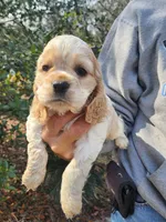 processed/fd436e6a-6b65-4207-b00c-3d95f7bf5faa/listing/55c5870a-e7c7-4aaf-aa90-9ee80f9331a6/a7960b7c-d36f-4b5d-a5b8-27664a55a43a