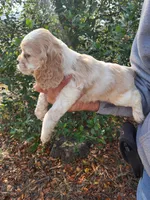 processed/fd436e6a-6b65-4207-b00c-3d95f7bf5faa/listing/55c5870a-e7c7-4aaf-aa90-9ee80f9331a6/adcd6960-81ce-44f0-82d7-c9972988cf7f