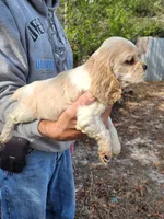 processed/fd436e6a-6b65-4207-b00c-3d95f7bf5faa/listing/55c5870a-e7c7-4aaf-aa90-9ee80f9331a6/b9ed4bc1-80a3-4368-b5e2-c8edf45d3d33