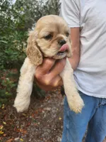 processed/fd436e6a-6b65-4207-b00c-3d95f7bf5faa/listing/7da7a31a-238c-4f9c-a31a-f281106de921/53d327ec-08e2-4df3-afa6-3c07f58fc332