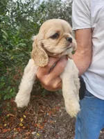 processed/fd436e6a-6b65-4207-b00c-3d95f7bf5faa/listing/7da7a31a-238c-4f9c-a31a-f281106de921/aa5ab456-c4d1-402f-ad84-0f858da38725