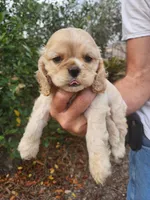 processed/fd436e6a-6b65-4207-b00c-3d95f7bf5faa/listing/7da7a31a-238c-4f9c-a31a-f281106de921/b98e7df3-c126-4a7a-a884-a844f1482969