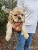 processed/fd436e6a-6b65-4207-b00c-3d95f7bf5faa/listing/7da7a31a-238c-4f9c-a31a-f281106de921/fa197cfb-ded3-4279-b921-a19649586ee5