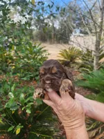 processed/fd436e6a-6b65-4207-b00c-3d95f7bf5faa/listing/8bef7a58-7c37-41a9-b8fc-6739a25ad4de/193777f7-04e9-4431-9f2b-8c9c36c82307