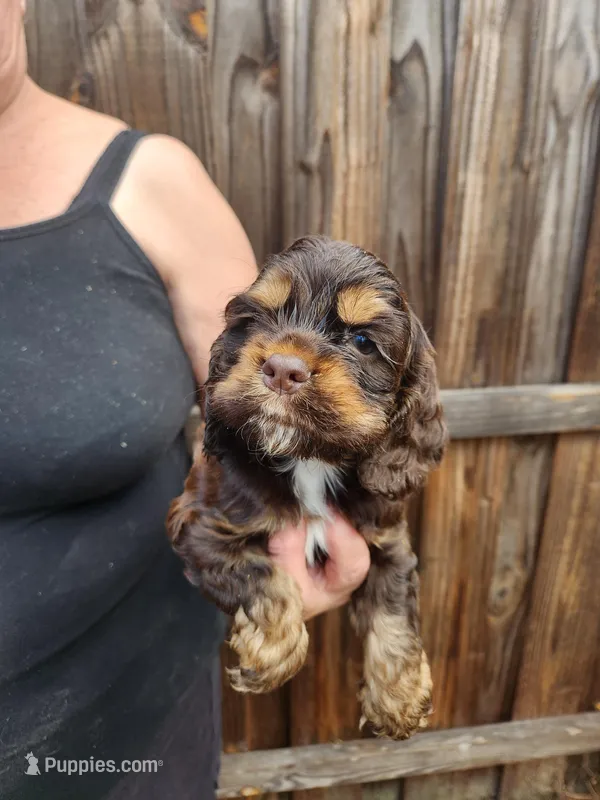 Hendrix Ready  03/03