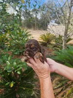 processed/fd436e6a-6b65-4207-b00c-3d95f7bf5faa/listing/8bef7a58-7c37-41a9-b8fc-6739a25ad4de/611b74c3-f7a6-474a-b4a2-174a255e83ea