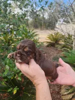 processed/fd436e6a-6b65-4207-b00c-3d95f7bf5faa/listing/8bef7a58-7c37-41a9-b8fc-6739a25ad4de/90ab6da0-bb55-4863-86ea-5b2ebf8be779