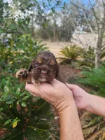 processed/fd436e6a-6b65-4207-b00c-3d95f7bf5faa/listing/8bef7a58-7c37-41a9-b8fc-6739a25ad4de/b76634d7-ba1c-476f-b526-ad62fb95240c