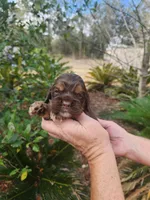 processed/fd436e6a-6b65-4207-b00c-3d95f7bf5faa/listing/8bef7a58-7c37-41a9-b8fc-6739a25ad4de/c8e33e68-fe4b-4b0c-b61d-0806f09923bb