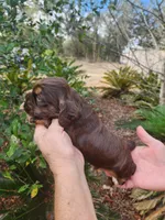 processed/fd436e6a-6b65-4207-b00c-3d95f7bf5faa/listing/8bef7a58-7c37-41a9-b8fc-6739a25ad4de/fd9e610b-dec7-41c5-b5c4-3f7e6c59a526