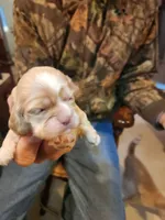 processed/fd436e6a-6b65-4207-b00c-3d95f7bf5faa/listing/8f28d7ee-9055-4693-b037-cbc884257941/0171e7f8-2944-417d-ab9c-d57f3dba0607