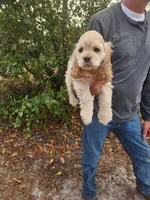 processed/fd436e6a-6b65-4207-b00c-3d95f7bf5faa/listing/bea5fc33-df76-46d3-a134-202d15936077/12607903-42ed-42f1-928b-cbbe6d965188