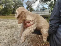 processed/fd436e6a-6b65-4207-b00c-3d95f7bf5faa/listing/bea5fc33-df76-46d3-a134-202d15936077/273c7a7f-4806-4061-98e6-5d5212edfc7e