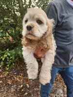 processed/fd436e6a-6b65-4207-b00c-3d95f7bf5faa/listing/bea5fc33-df76-46d3-a134-202d15936077/7772c8fb-49dd-45f4-9f7e-3ebe4d9fa592