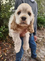 processed/fd436e6a-6b65-4207-b00c-3d95f7bf5faa/listing/bea5fc33-df76-46d3-a134-202d15936077/baa4542c-540e-4231-aea1-2213e427800d