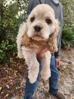 processed/fd436e6a-6b65-4207-b00c-3d95f7bf5faa/listing/bea5fc33-df76-46d3-a134-202d15936077/d2020e32-98e4-4e1e-9b26-045bac56355d