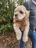 processed/fd436e6a-6b65-4207-b00c-3d95f7bf5faa/listing/bea5fc33-df76-46d3-a134-202d15936077/fb405558-8690-42c3-ae18-2864dbe29ed9