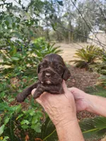 processed/fd436e6a-6b65-4207-b00c-3d95f7bf5faa/listing/dcff00ec-7a64-4a44-87dd-a95479c75a9c/0074cf59-48ed-458d-b74c-997546e8a0b2