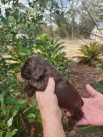 processed/fd436e6a-6b65-4207-b00c-3d95f7bf5faa/listing/dcff00ec-7a64-4a44-87dd-a95479c75a9c/04deb118-22a8-4d06-a6dc-793dae27224f