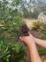 processed/fd436e6a-6b65-4207-b00c-3d95f7bf5faa/listing/dcff00ec-7a64-4a44-87dd-a95479c75a9c/5b2b6677-fcac-42d7-bca2-fa0e9be591a0